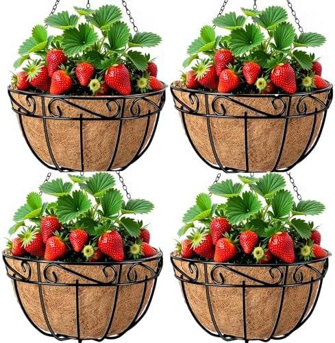 Amagabeli 4 Pack 14 Inch Metal Hanging Baskets Planter Outdoor Round Wire Hanging Basket for Plants with Coco Fiber Liners Chain Plant Holder for Garden Patio Deck Porch Plants Vegetables Flower Pots