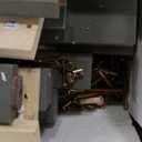 King Size Canopy Platform Bed with Headboard and Support Legs,Wood Bed Frame W/Space Saving,Slat Support,for Girl Boy Kid,Adults Bedroom,Grey Wash