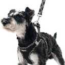 PUPTECK Dog Harness and Leash Set for Small Medium Dogs No Pull Step-in Soft Mesh Puppy Cat Vest Harnesses Reflective at Night, Black M (M(CHEST 16"-18", 11-18 lbs))