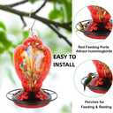 2 Pack Hummingbird Feeder Base Replacement Part Accessories Set - Includes 2 Pcs Bottom Base, Moat Hooks, Seal Rings, Brushes and Hanging Ropes (2, Black)