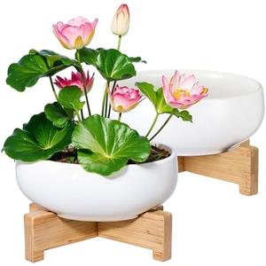 Baderke 2 Pcs Lotus Bowl Planter with Base Ceramic Hydroponic Planter Water Lily Bowl for Planting Aquatic and Indoor Plants Household Ceramic Basin Decor(White)