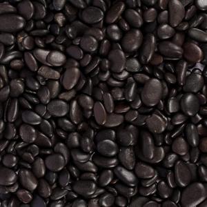 5 lbs Approx. 430 Black River Rocks Stones for Plants Pebbles for Indoor Plants | Aquarium Fish Tank Rocks | Polished Decorative Rocks for Vases (0.3-0.6 Inches)