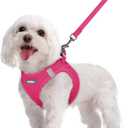 rabbitgoo Dog Harness and Leash Set, Step in Soft Light Puppy Vest, Breathable Mesh Pet Harness, Reflective for Safe Easy Walking, Rose Red M