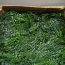 Greenery Faux Grass Wall Backdrop: 20"x20" (24P) UV-Anti Artificial Green Boxwood Panel for Patio Balcony Privacy & Ivy Fence Covering Privacy, Garden, Backyard Wall Backdrop Decor