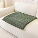 OstepDecor Washable Couch Cover for Dogs, Thick Pet Friendly Sofa Covers, Soft Couch Protector, Paw Cart Sofa Slipcovers, Cushion Protector for Leather, Sectional, Loveseat (27.6" x 27.6", Green)