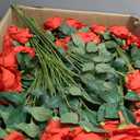 Riceshoot 500 Pcs Artificial Silk Roses Flowers with Long Stem Bridal Wedding Bouquet Realistic Floral Bulks for Garden Home Party Gifts Favor Decoration(Red)