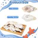 15PCS Natural Oyster Shells 4-5 in Uncarved Oyster Shells for Crafts, Hard Texture for DIY Arts Ornaments, Candle Holders, Coastal Decor & Art Projects