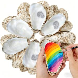 5.5"-6.5" 20PCS Extra Large Concave Oyster Shells for Crafts, Natural Oyster Shells Bulk, Sea Shells for DIY Crafting, Home Decor Vase Filler, Beach Wedding & Christmas Ornament
