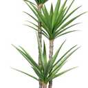 Artificial Tree 6ft Faux Agave Plant with 3 Heads in Pot Fake Tree for Home Decor Indoor or Outdoor Office Decoration,Farmhouse,Store Floor Decor Housewarming Gift(1 Pack)