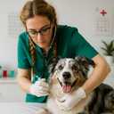 Elimedical Veterinary Syringe Luer Slip 1cc (1ml) TB, 25G x 5/8 inch (16mm), Individually Sealed, 100 per Box, 01TB2516