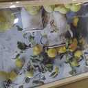 Framed Lemon Kitchen Wall Art Vintage Mustard French's Yellow Lemon Kitchen Rustic Oil Canvas Paintings Posters Prints for Dining Living Room Bedroom Preparing to hang 16x24in