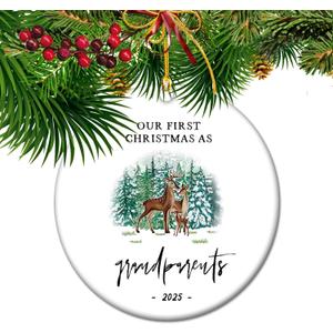 First Christmas as Grandparents  New Grandparent Keepsake Ornament, Heartfelt for Grandma & Grandpa, Established 2025 Family Tree Decor (S7)