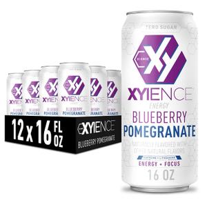 Xyience Blueberry Pomegranate Energy Drink, 16 fl oz Can (Pack of 12), BBD: 01/03/2027