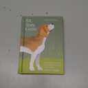 Sit, Stay, Grow: How Dogs Can Help You Worry Less and Walk Into a Better Future