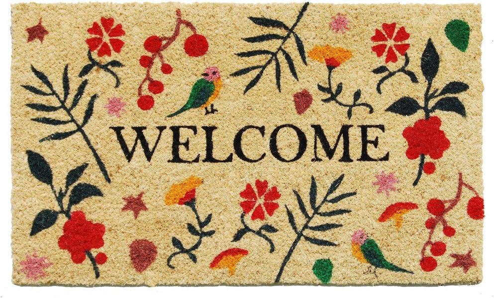 Calloway Mills 122031729 Bliss Welcome Doormat, 17" x 29", Multicolor