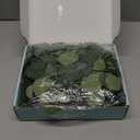 Dolicer 2 Packs 6FT Artificial Eucalyptus Garland, Faux Greenery Garland Hanging Fake Silver Dollar Eucalyptus Leaves Vines for Wedding Backdrop Arch Table Wall Party Home Decor