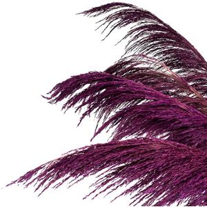 Purple Pampas Grass Decor Tall, 8pcs 31.5" Natural Dried Colorful Pompas floral with Dried Plant Aroma, Noble, Romantic ,Elegant Large Dried Flowers for Living Room Decor, Purple Feather Flowers (8pcs 31.5"(80cm), Natural Purple)