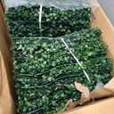 Crowye 24 Pcs 12 x 12 Inch Faux Grass Wall Panels Artificial Boxwood Panels Outdoor Privacy Screen Greenery Backdrop UV Protected Topiary Hedge Plant for Outdoor Indoor Garden Fence Backyard Decor