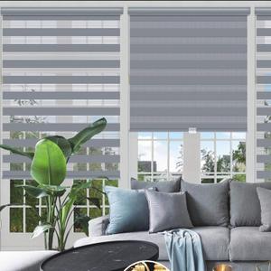 Changshade Zebra Blinds for Windows Cordless Double Layered Roller Semi Sheer Shades with Valance Light Filtering Privacy for Day and Night Pull Down Roller Shade for Home Office,25" W72" H,Grey
