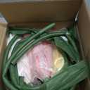 Large Paper Fake Flowers Decor -5.6 Ft Giant Artificial Flowers Big Floral with Standing Base for Valentine Wedding Parties Baby Showers Window Display Background Decorations (Set of 3) (Light Champagne & Blush Pink & Deep Pink)