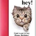 Funny Cat Birthday Card for Men Women, Naughty Birthday Card Gift for Cat Lover Friend Sister Brother Cousin Coworker