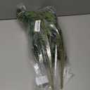 Hollyone 2pcs Artificial Hanging Plants 24" Fake Ivy Vine Faux Ivy Leaves Hanging Plant Greenery for Wall House Room Patio Indoor Outdoor Home Shelf Office Wedding Decor (Small-2 Pack, Small-style 2)