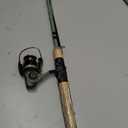 Shakespeare Wild Spinning Reel and Fishing Rod Combo