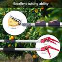 FLORA GUARD Extendable Tree Pruner 4.6-10ft, Telescoping Pole Pruner & Pole Saw with Cut & Hold Fruit Picker, Lightweight Long Reach Branch Trimmer for High Trees, 3m
