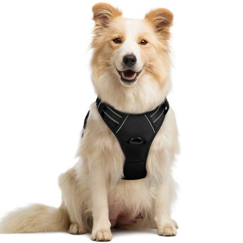 rabbitgoo Dog Harness No Pull with 2 Leash Clips, Adjustable Soft Padded, Reflective Oxford No Choke Pet Vest with Easy Control Handle for Medium Sized Dogs, Black, Small
