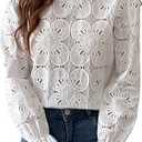 CUPSHE Women Eyelet Long Sleeve Tops Shirts Dressy Hollow Out Crochet Lace Embroidered Blouses 2025 Fashion S M