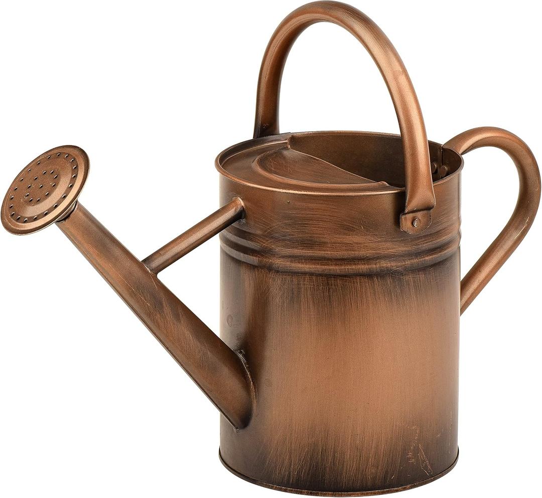 Homarden 1 Gallon Copper Decorative Watering Can - Metal Watering Cans for Indoor and Outdoor House Plants - Removable Spout and Dual Handles - Small Water Can for Bonsai Plant - 16.1Dx6.2Wx7.9H in