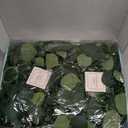 Dolicer 4 Packs 6FT Artificial Eucalyptus Garland with LED Light String, Faux Greenery Garland Hanging Fake Silver Dollar Eucalyptus Leaves Vines for Wedding Backdrop Arch Table Wall Party Home Decor