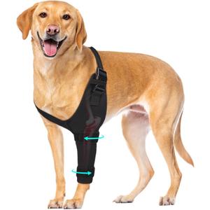 Dog Elbow Protector Brace, Dog Leg Sleeves Anti-Licking for Arthritis, Hygroma, Pressure Sores, and Calluses, Dogs Elbows Pads & Shoulder Brace for Elbow Dysplasia and Injury Recovery, Left XL