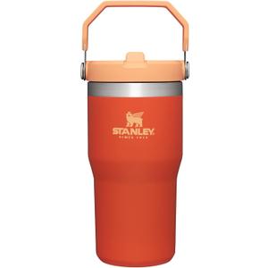 Stanley IceFlow Flip Straw Tumbler with Handle | Twist On Lid and Flip Up Straw | Leak Resistant Water Bottle | Insulated Stainless Steel | BPA-Free (20 Ounces, Tigerlily)