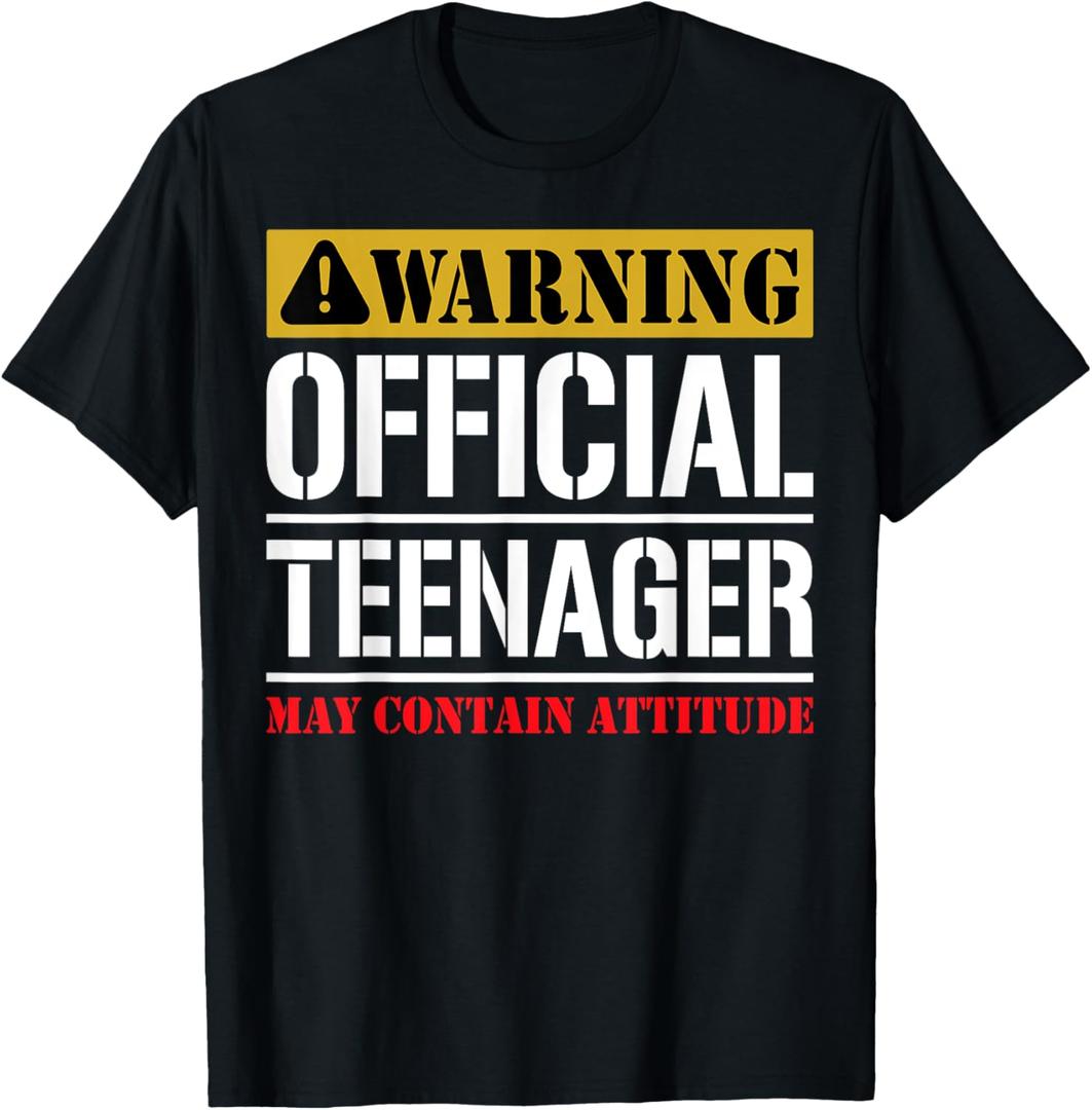 13 Birthday Official Teenager Boy 13yr Math 13th Birthday T-Shirt (Small, Black)
