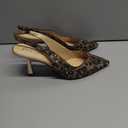 Betsey Johnson Women's Clark, Light Brown/Black Leopard Print, Size 10, Width Medium
