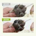 Dog Paw Balm for Cats & Puppy, Soothing Paw and Nose Balm, Cracked Paw Pad Relief, 60g /2 oz