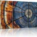 3pcs Tree Rings Abstract Wood Grain Framed Wall Art Decor Canvas Print Picture Nature Plant Modern Artwork Poster Gallery Bedroom Living Room Office 16x24 Inch Ready to Hang