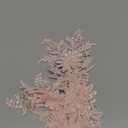 4Pcs Light Pink Flower Applique 3D Floral Embroidery Vintage Appliques Polyester Soild Embroidered Lace Sew on Patches Bulk for Sewing Making Dress Cloth Gowns Wedding Bridal Costumes Supply (2 Pairs)