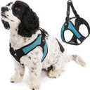 Gooby - Escape Free Easy Fit Harness, Small Dog Step-in Harness for Dogs That Like to Escape Their Harness, Turquoise, Small (Small chest (16~19.25"))