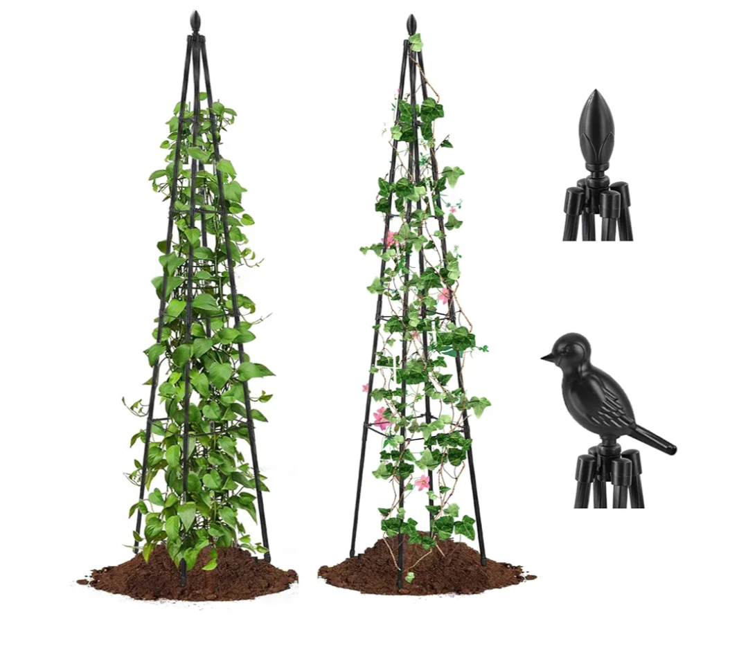AlisisFores 2 Pack Garden Trellis for Climbing Plants Outdoor,63inch Tall Rustproof Metal Obelisk Trellis Support for Potted Vines Vegetable Plants Indoor Outdoor, Lightweight