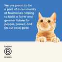 Applaws Natural Wet Canned Cat Food, Limited and Natural Ingreidents, High Protein with No Artificial Additives, Fish Selection in Broth (36 x 2.47oz Cans)