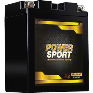 ExpertPower YB14-A2 12V 14Ah Replacement Batteries, AGM SLA Battery for ATVs, Motorcycles, UTVs, Snowmobiles, Compatible with Arctic Cat, Honda, Kawasaki, Polaris, Suzuki, Yamaha