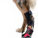 Strap-On Drop Foot Brace (No Knuckling Boot Brace) for Dogs, Dog Knee Pads,Corrective Dog Shoes to Safely Lift Toes for Foot Issues, Arthritis, and improving Walking gait in Dogs(XL)