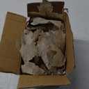 6 Ft Thanksgiving Garland with Lights Timer Function, Fall Garland with Berries Vine Foliage Lights Automatic ON/Off Timer Thanksgiving Table Decorations for Home Mantle Fireplace Porch Winter Party