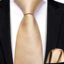 Hi-Tie Boys Ties Self Tie Silk Striped Kids Necktie and Pocket Square Set Paisley Boys Tie for Age 8-11 Wedding (Champagne)