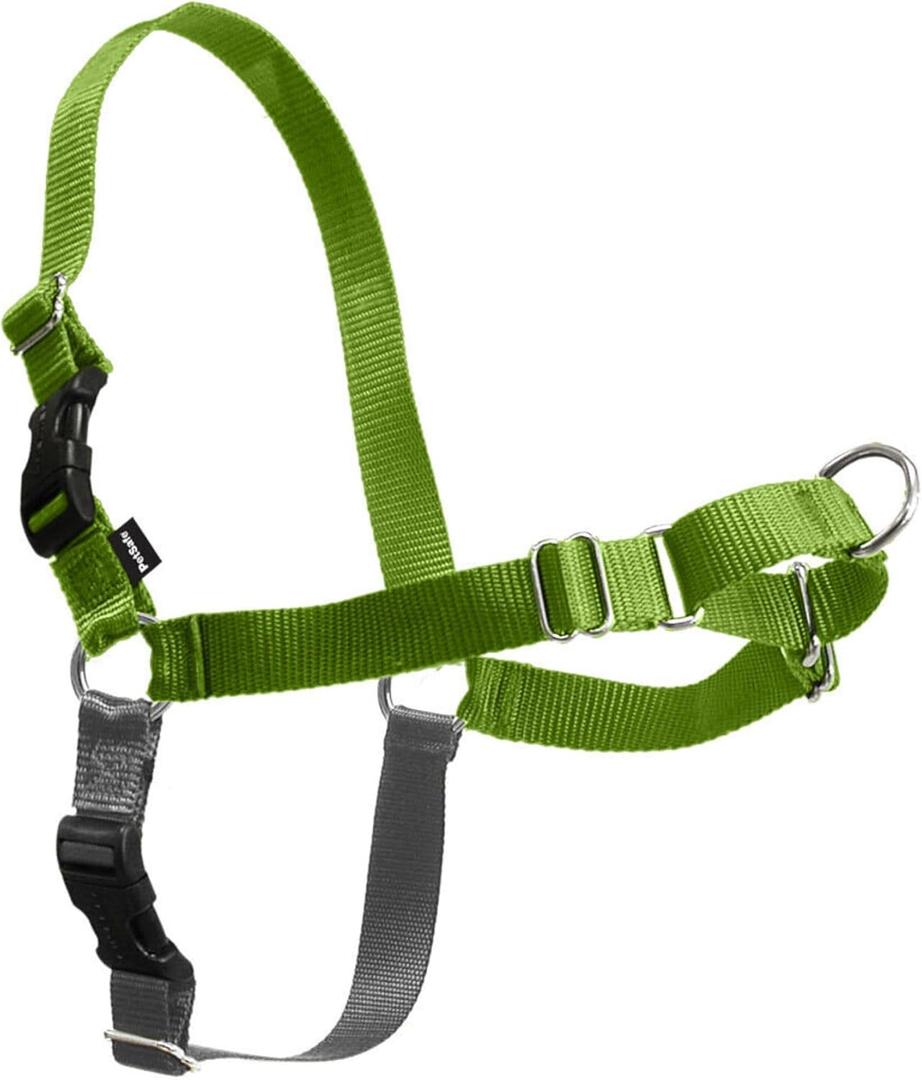 PetSafe Easy Walk No-Pull Dog Harness - Ultimate Harness to Help Stop Pulling - Pull-Free Walks - Take Control & Teach Better Leash Manners - Patented Martingale Loop Design - Green, Medium/Large (Apple Green/Gray)