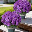 Geraniums Artificial Flowers for Outdoors, 2 Pack Potted Plants Purple Faux Geraniums Bush Artificial Topiaries Realistic UV Resistant Fake Flowers Greenery for Outside Garden Porch Patio Yard Indoor