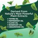 Vets Best Flea and Tick Shampoo for Dogs  Advanced Strength Plant-Based Formula for Flea Treatment and Prevention, Natural Flea Bath and Tick Control, Vet Recommended, Made in USA, 12 oz