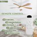 Sofucor 52 Inch Ceiling Fans with Lights and Remote, Outdoor Ceiling Fan with Light 6-Speed 3 CCT 3-Timer, Modern Low Profile Ceiling Fan 5 Blade Reversible DC Motor for Living Room Bedroom Patio